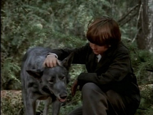 Little House on the Prairie - S8E12: No Beast So Fierce