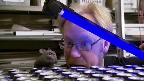 MythBusters - S7E22: Hidden Nasties