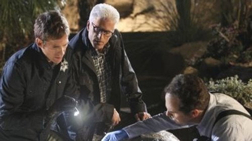 CSI: Crime Scene Investigation - S13E20: Fearless