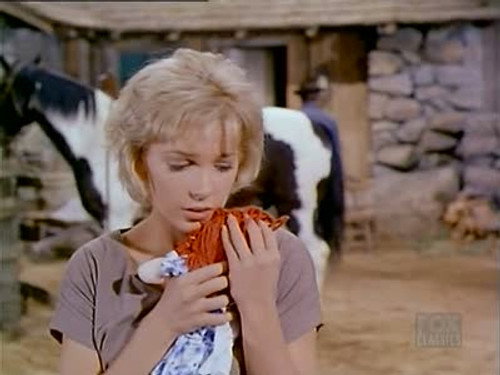 Bonanza - S2E13: Silent Thunder