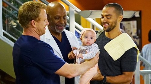 Grey's Anatomy - S13E5: Both Sides Now