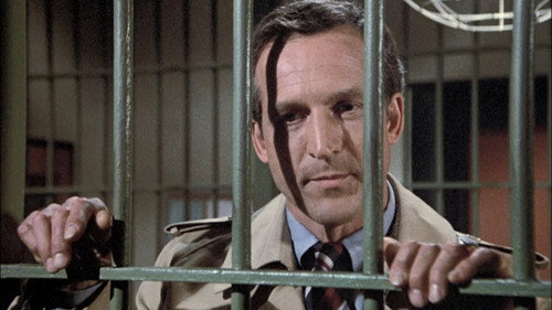 Hill Street Blues - S3E9: A Hair of the Dog