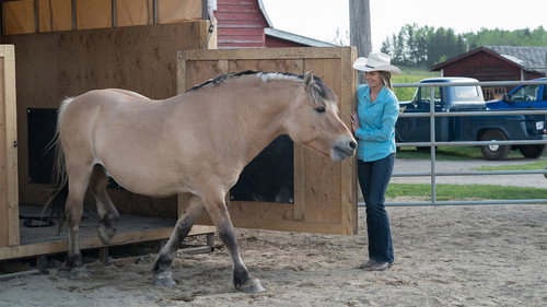 Heartland - S11E4: How to Say Goodbye