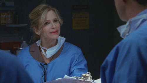 The Closer - S5E4: Walking Back the Cat