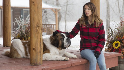 Heartland - S6E15: After All We Have Been Through