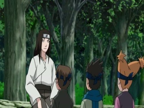 Naruto Shippūden - S9E192: Neji Chronicles