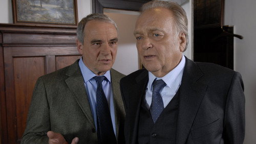 The Old Fox - S32E2: Bei Einbruch Mord