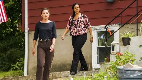 FBI: Most Wanted - S4E2: Taxman