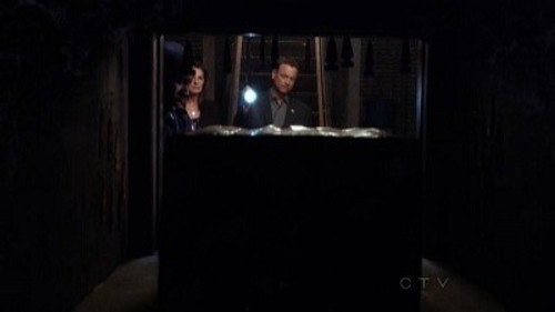 CSI: NY - S9E5: Misconceptions