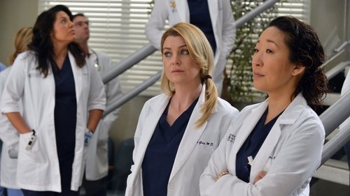 Grey's Anatomy - S10E14: You've Got to Hide Your Love Away