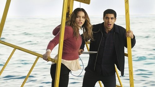 Scorpion - S3E15: Sharknerdo