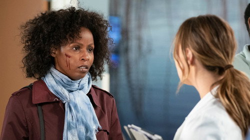 Grey's Anatomy - S15E19: Silent All These Years