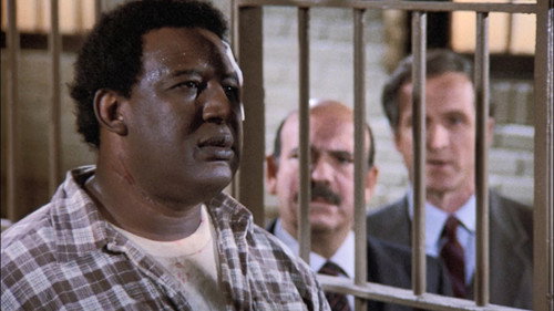 Hill Street Blues - S5E14: Dr. Hoof and Mouth