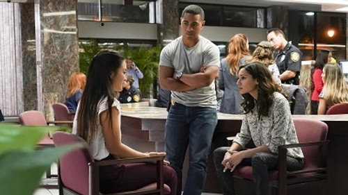 Hawaii Five-0 - S9E17: Eʻao luʻau a kualima (Offer Young Taro Leaves To)