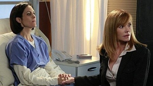CSI: Crime Scene Investigation - S12E11: Ms. Willows Regrets... (1)