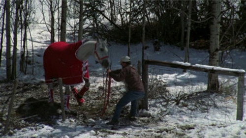 Heartland - S3E1: Miracle