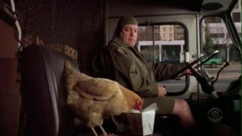 The King of Queens - S9E8: Offensive Fowl