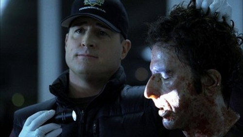 CSI: Crime Scene Investigation - S11E14: All That Cremains