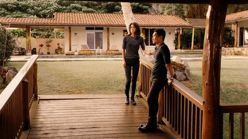 Hawaii Five-0 - S7E11: Kaʻili aku (Snatchback)