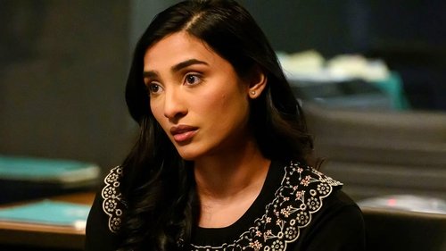 The Blacklist - S10E5: The Dockery Affair