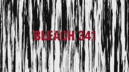 Bleach - S1E341: Invading Army Arc, Final Conclusion!