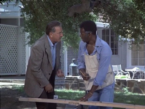 Quincy, M.E. - S4E4: Death by Good Intention