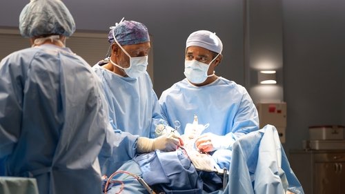 Grey's Anatomy - S22E3: Between Two Lungs
