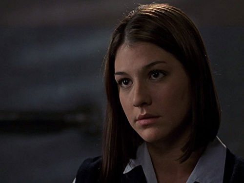 Law & Order: Special Victims Unit - S5E15: Families