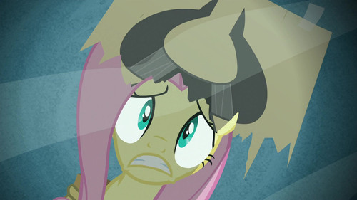My Little Pony: Friendship Is Magic - S2E19: Putting Your Hoof Down