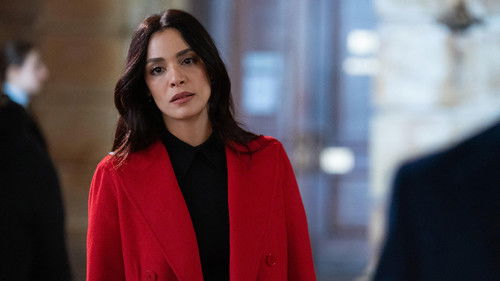 Law & Order - S25E11: The Enemy of All Women