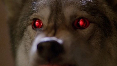 The X-Files - S6E16: Alpha