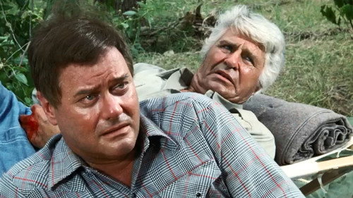 Dallas - S3E6: The Dove Hunt