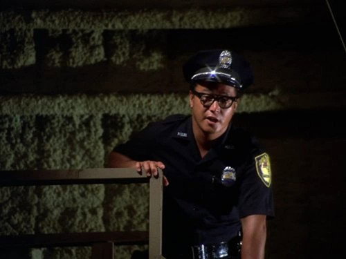 Hawaii Five-O - S6E5: The Sunday Torch
