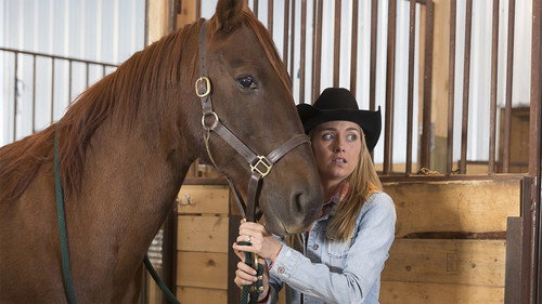 Heartland - S7E12: Walking Tall