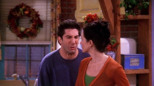 Friends - S6E9: The One Where Ross Got High