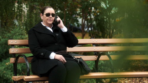 Person of Interest - S4E12: Control-Alt-Delete