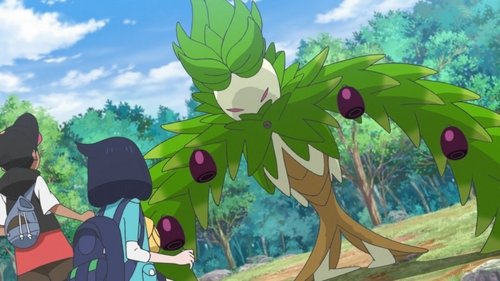 Pokémon Horizons - S1E11: Arboliva's Forest