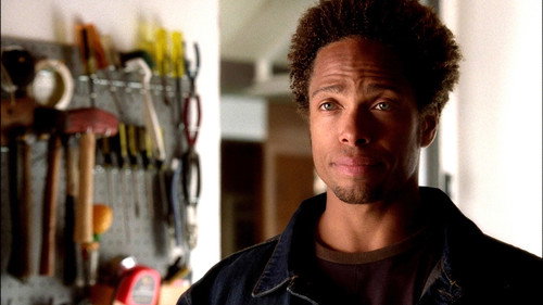 CSI: Crime Scene Investigation - S2E12: You've Got Male
