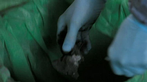 Silent Witness - S11E6: Hippocratic Oath (2)