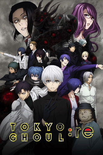 Tokyo Ghoul Tokyo Ghoul:re (2nd season)