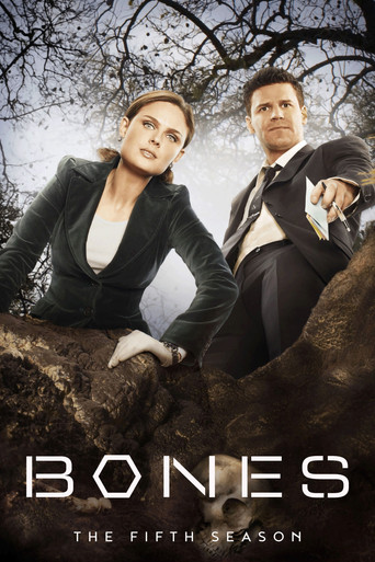 Season 5